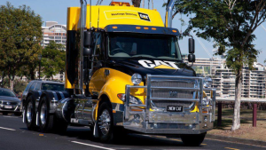 Cat truck